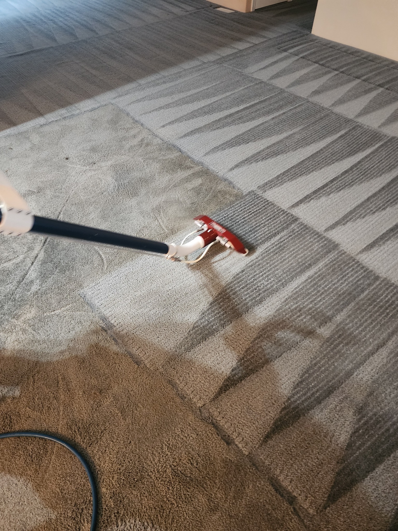 Carpet cleaning results