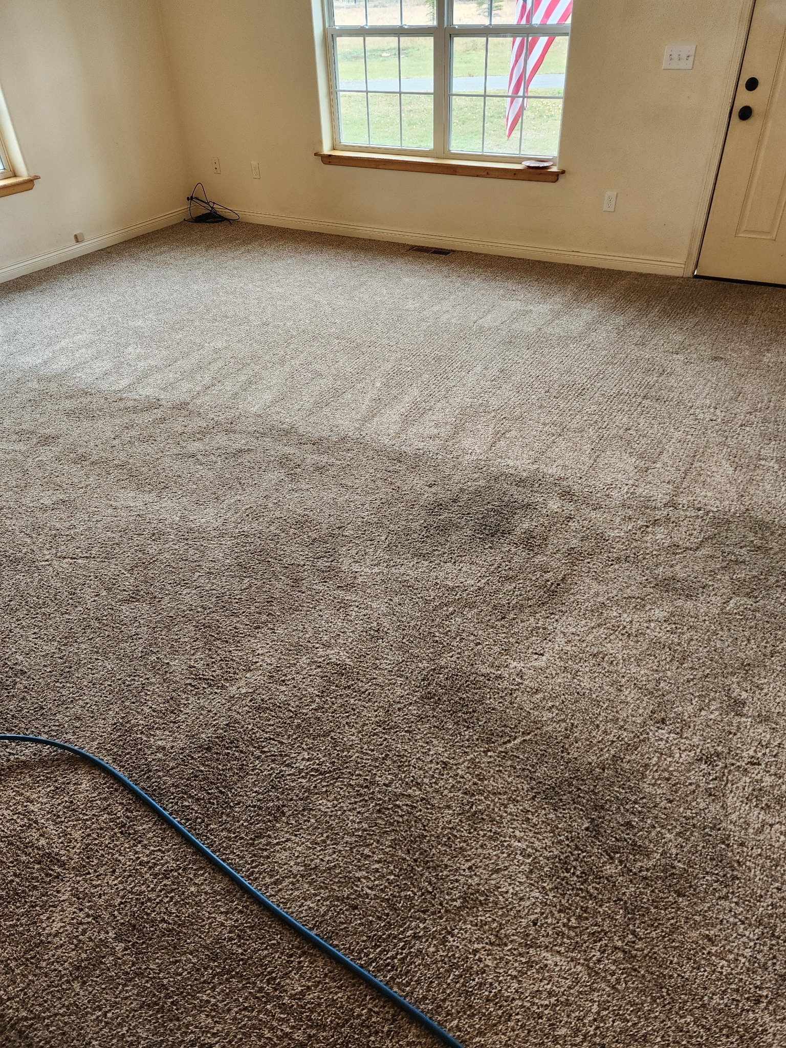 Freshly cleaned carpet